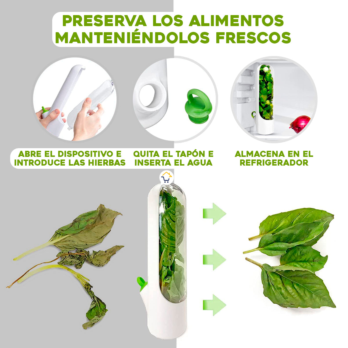 FreshVault™ – Conservador de Hierbas y Verduras | Frescura natural por semanas